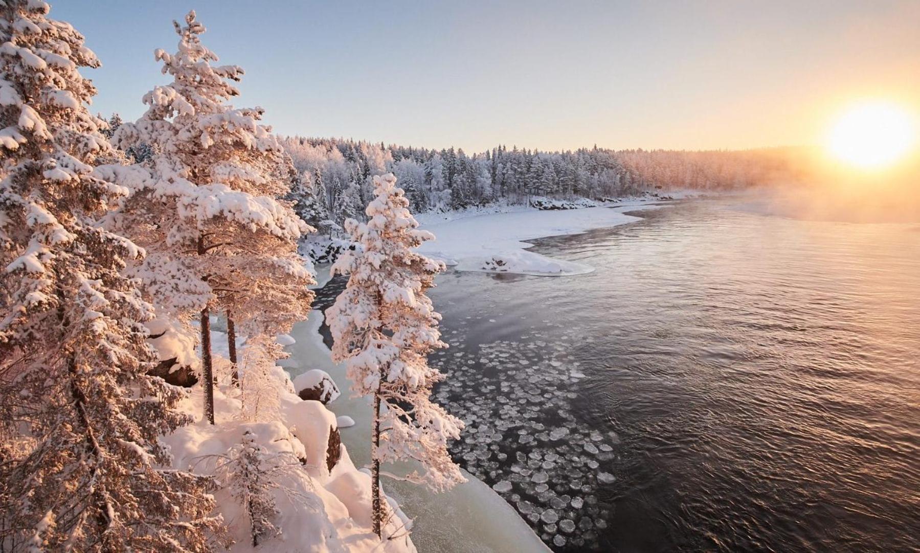 Skog Aurora Igloos Villa Kalix Kültér fotó