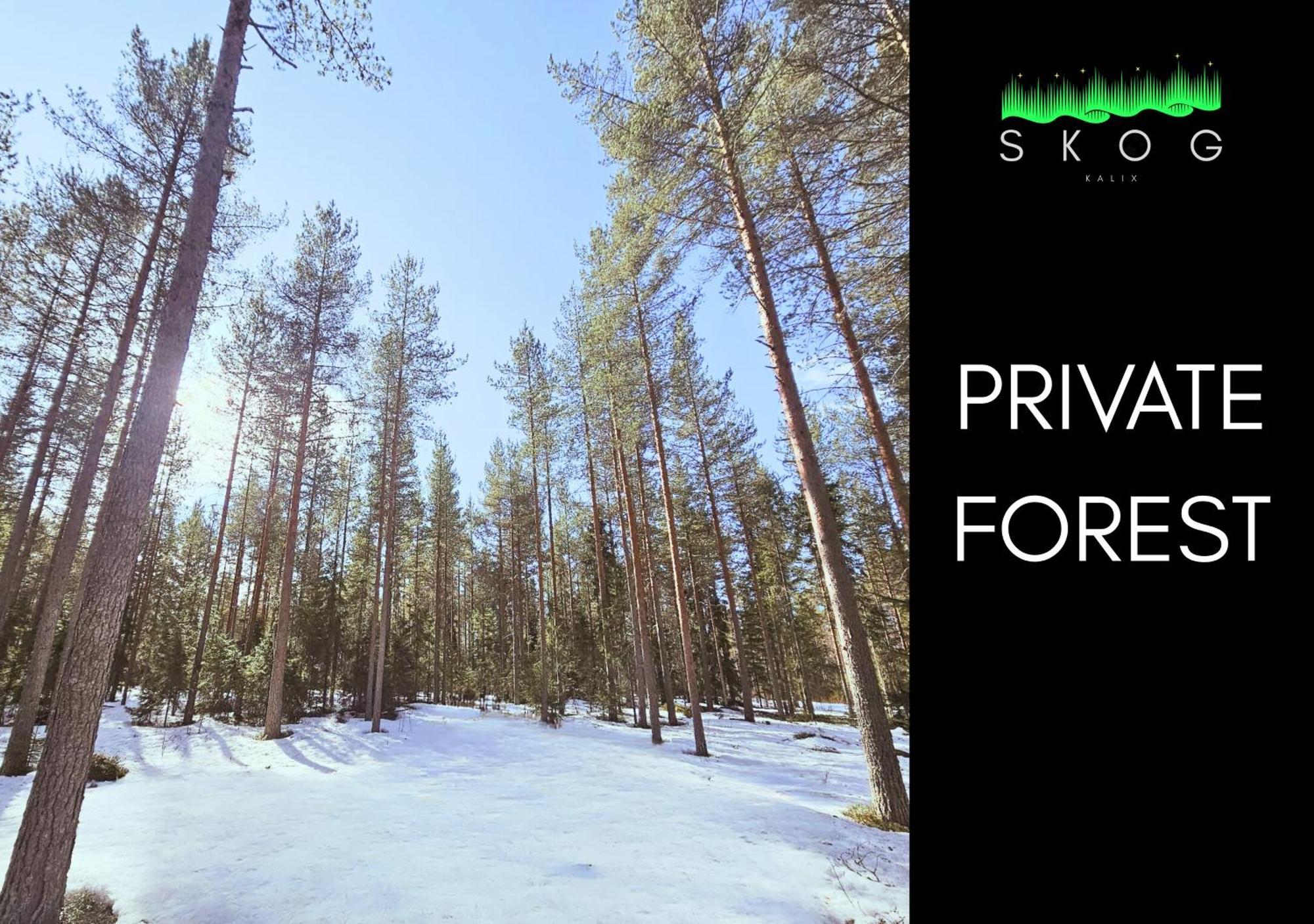 Skog Aurora Igloos Villa Kalix Kültér fotó