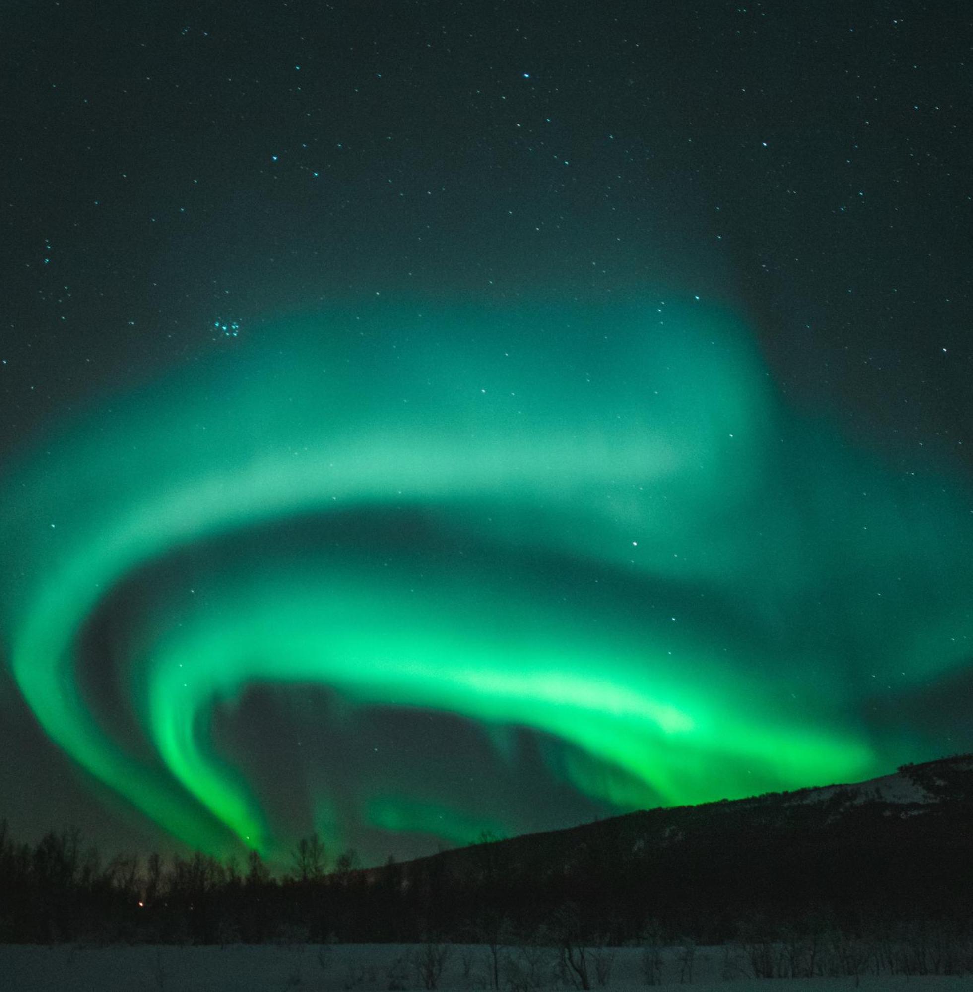 Skog Aurora Igloos Villa Kalix Kültér fotó