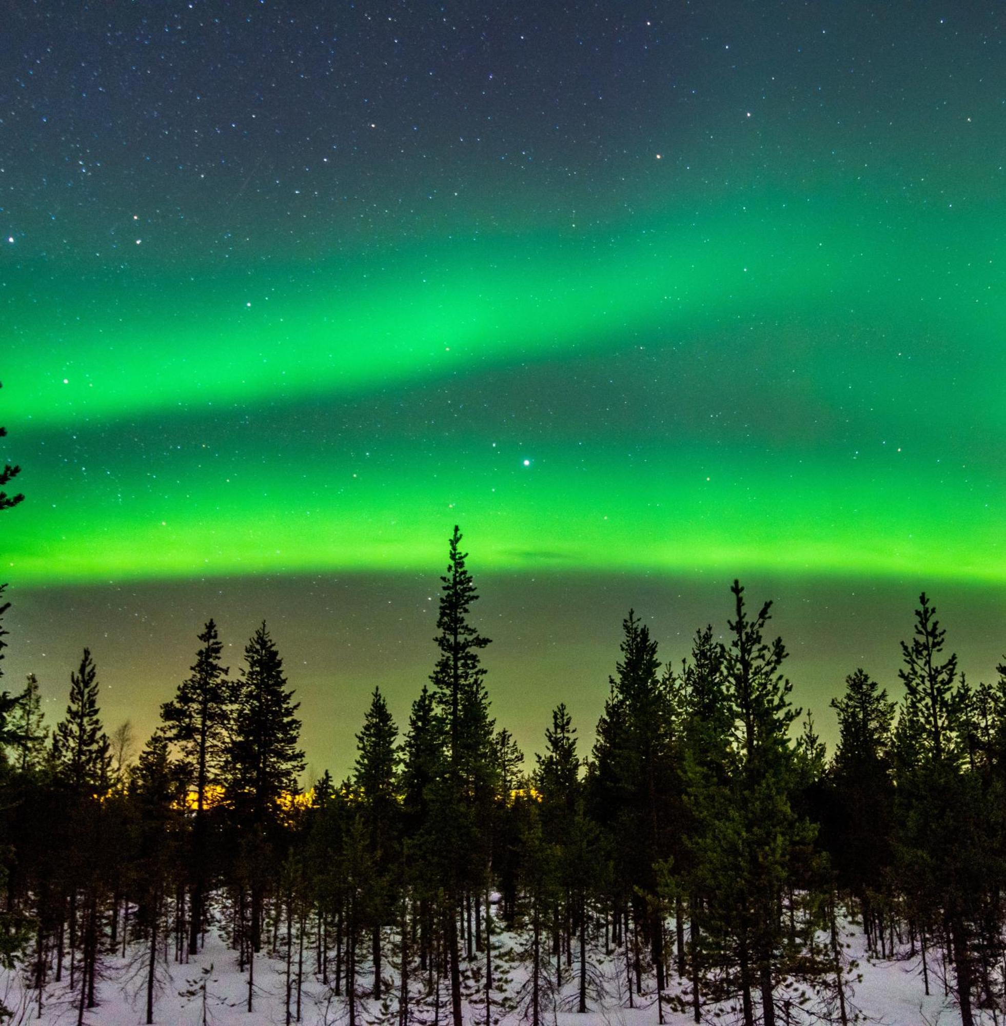 Skog Aurora Igloos Villa Kalix Kültér fotó
