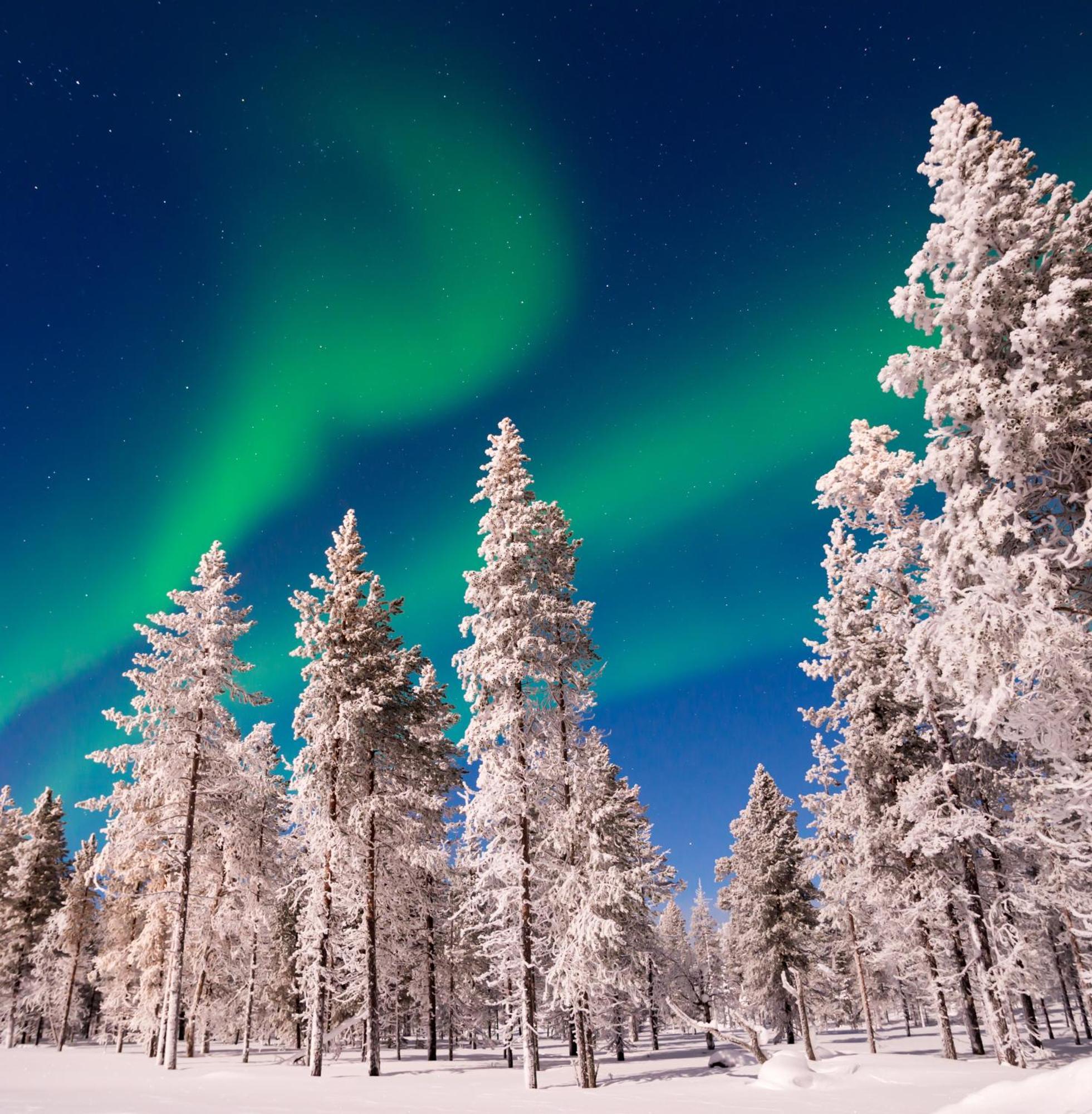 Skog Aurora Igloos Villa Kalix Kültér fotó
