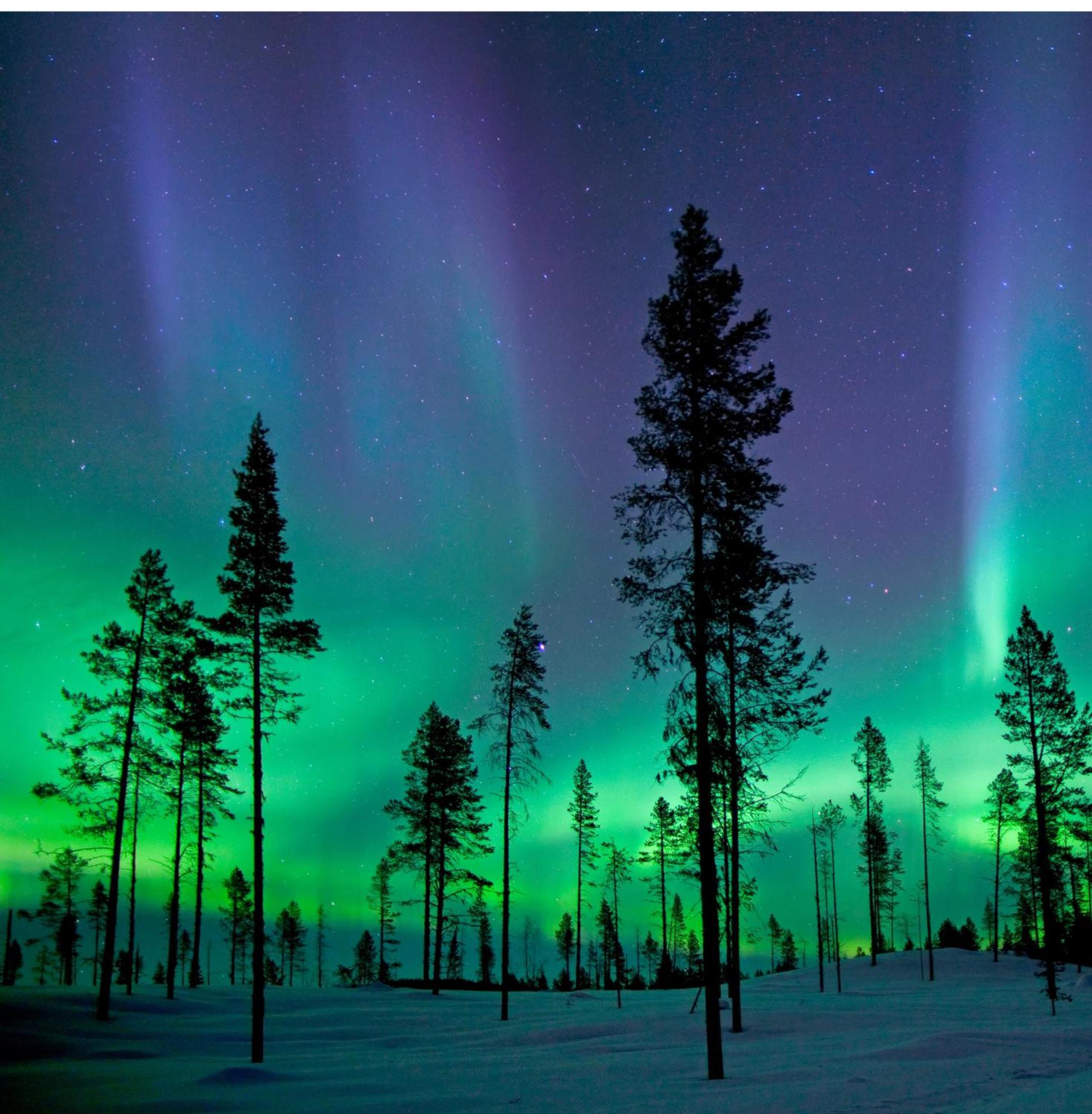 Skog Aurora Igloos Villa Kalix Kültér fotó