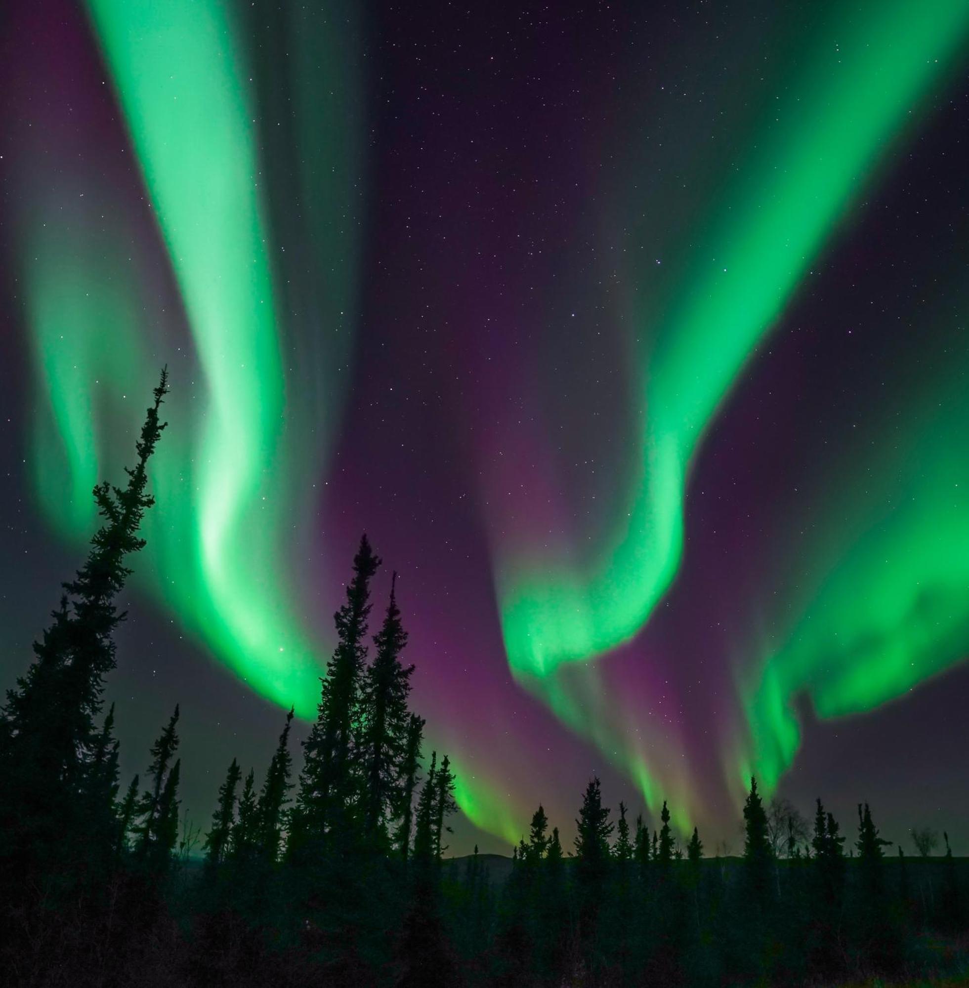 Skog Aurora Igloos Villa Kalix Kültér fotó
