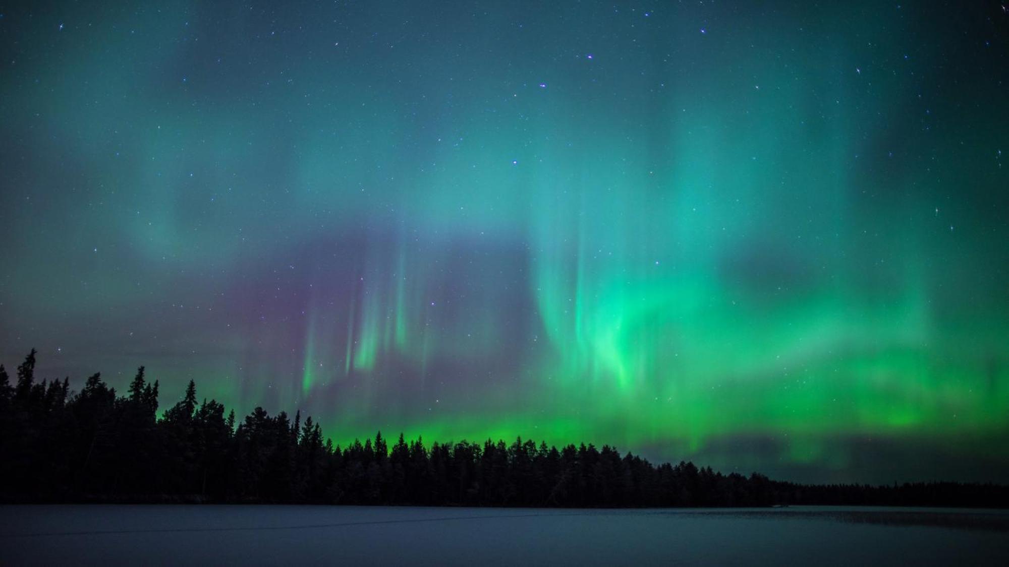 Skog Aurora Igloos Villa Kalix Kültér fotó