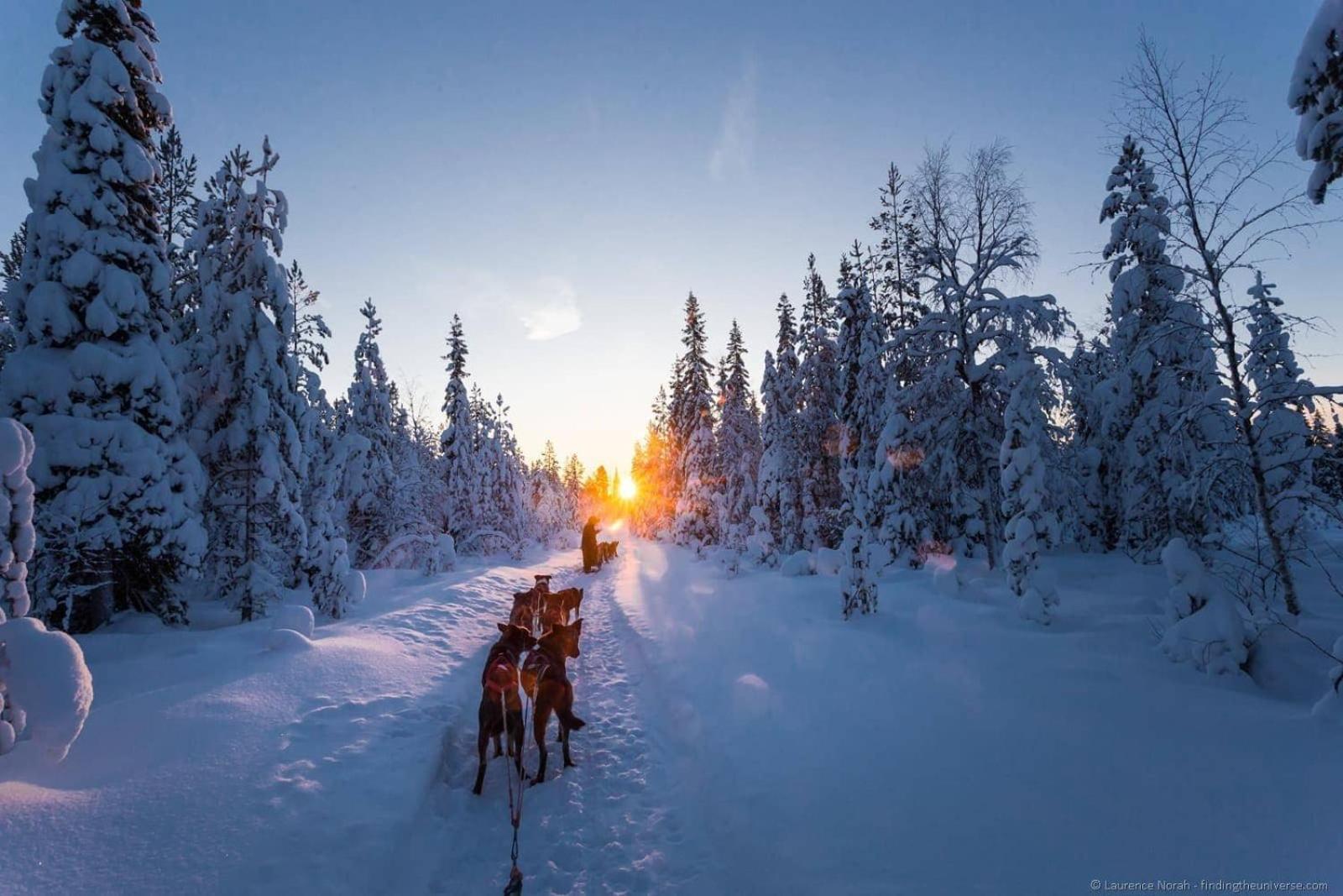 Skog Aurora Igloos Villa Kalix Kültér fotó