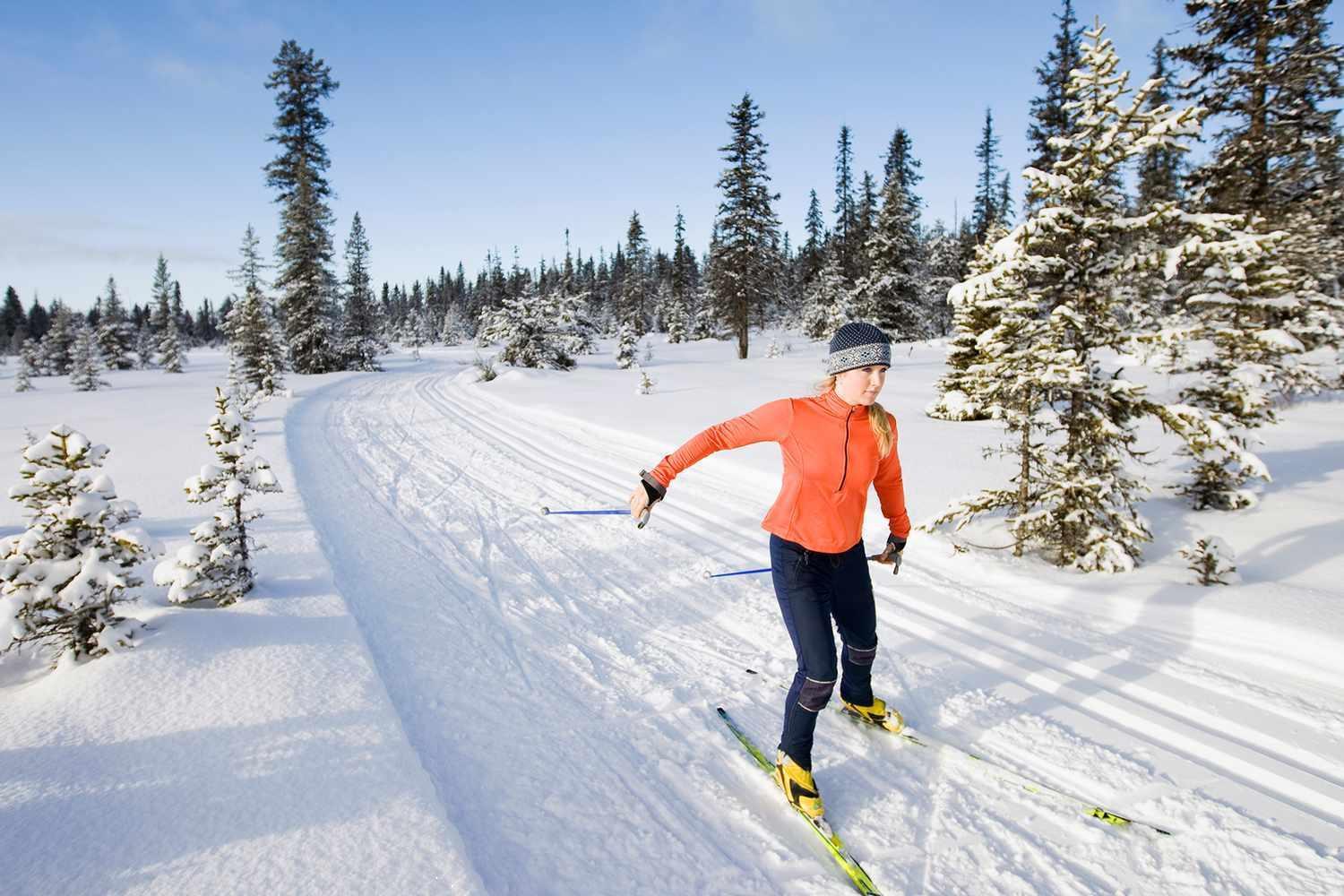 Skog Aurora Igloos Villa Kalix Kültér fotó